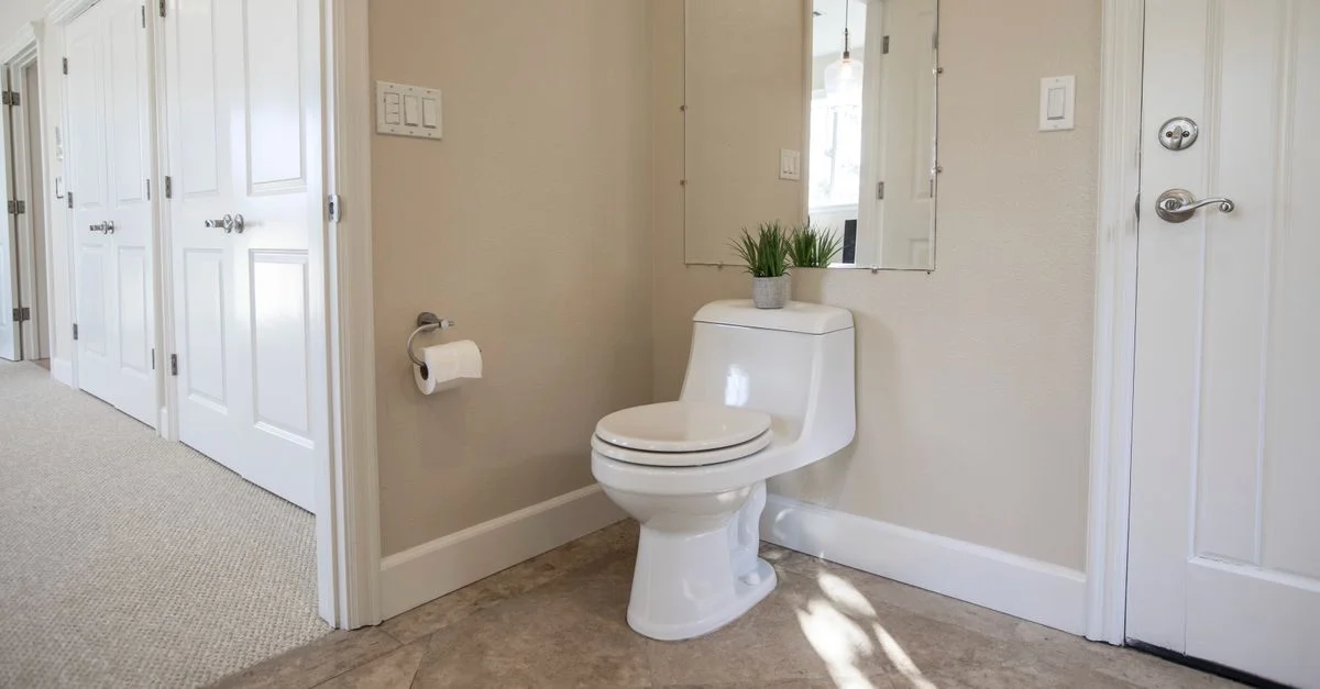Conception de salle de bain contemporaine avec un toilette blanc, un miroir et une décoration.